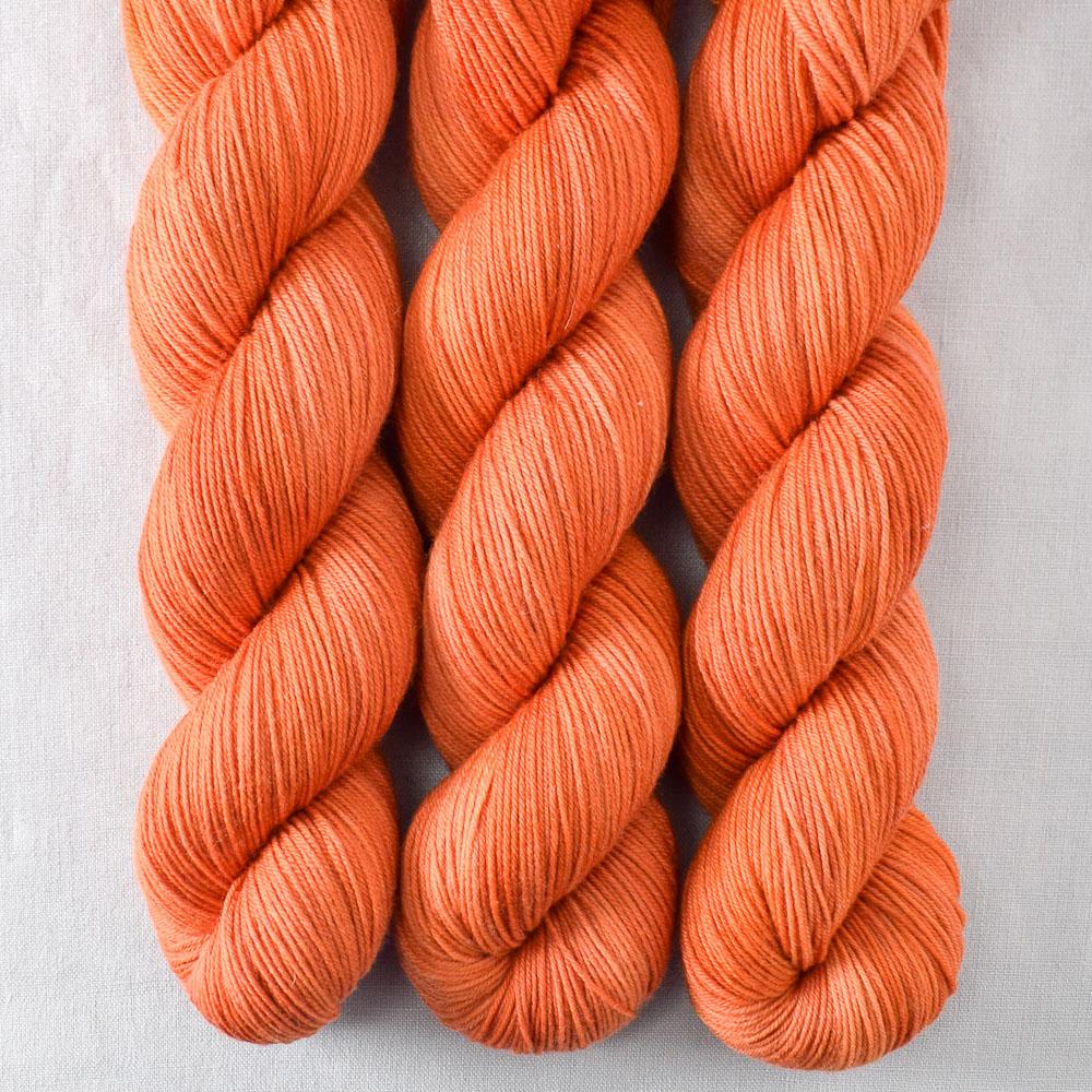 Torchbearer - Miss Babs Putnam Merino wool and nylon sock yarn