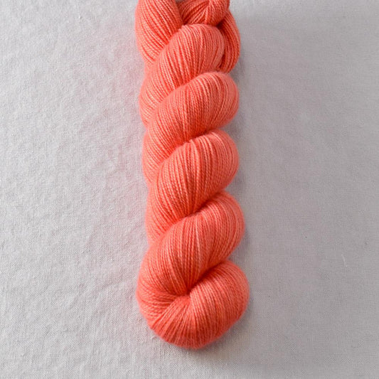 Torquata - Miss Babs Yummy 2-Ply superwash Merino wool yarn