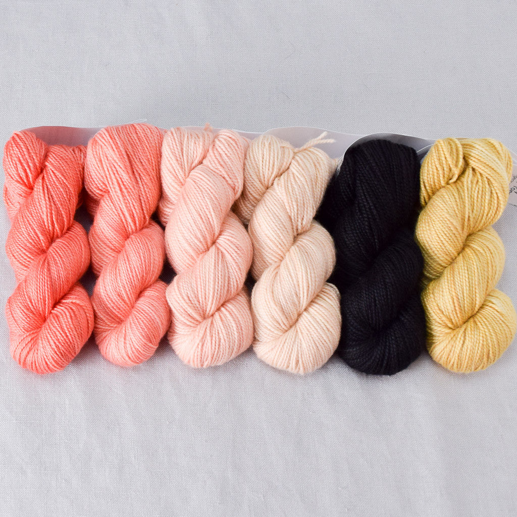 Torquata - Gradient Set