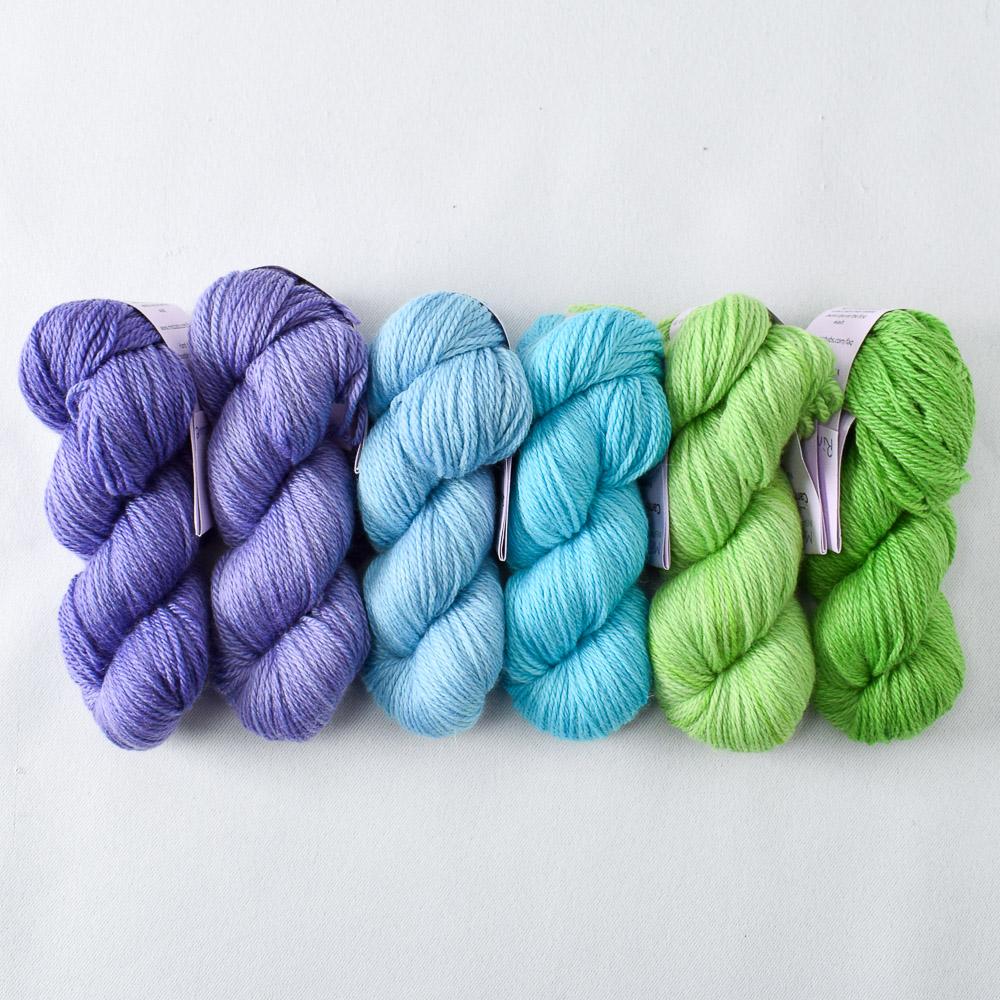 Tropical Plumage - Caroline Gradient Set