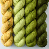 Tuscan Sun, Iantha, Dragon Claw, Terrapin Station - Miss Babs Yummy 2-Ply Quartet
