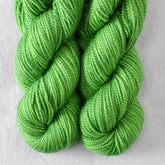 Two Days Slow - Miss Babs Yummy 2-Ply Toes superwash Merino wool yarn
