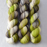 Uberraschung - Miss Babs Katahdin 437 superwash BFL wool yarn