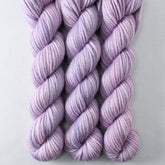 Valiant Grapes Partial Skeins - Miss Babs K2 yarn