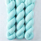 Watering Can - Miss Babs Estrellita fingering weight superwash merino and Lurex yarn