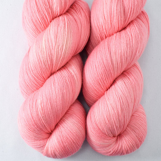 Watermelon Pink - Katahdin