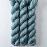 Watery Tart - Miss Babs Yowza Mini superwash Merino wool yarn