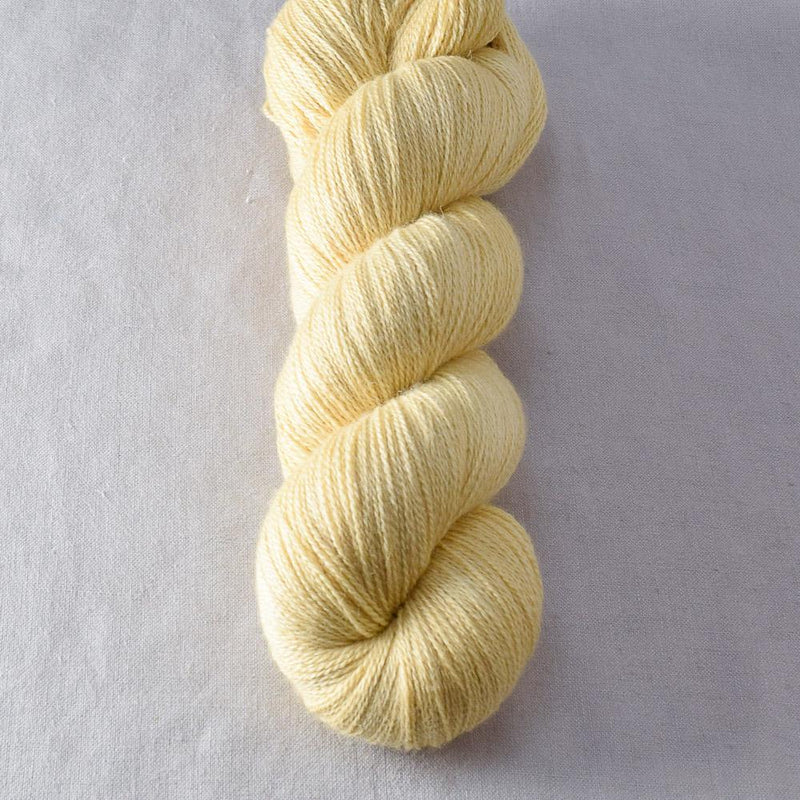 Wheaten - Miss Babs Yearning yarn