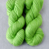 Wild Keet - Miss Babs Yummy 2-Ply Toes superwash Merino wool yarn