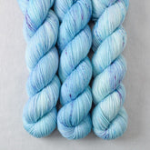 World in a Book - Miss Babs Tarte wool blend sock yarn